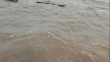 Sensasi Kelinci Shenyang Yang Menggoda